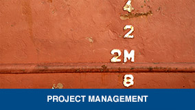 Project management link