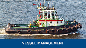 Vessel management link